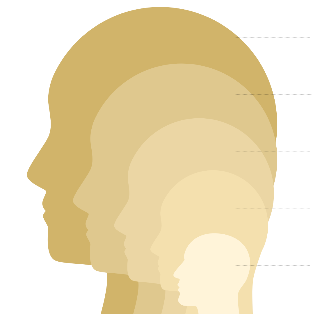 Evolve Framework - Organizational Capability to Mental Health